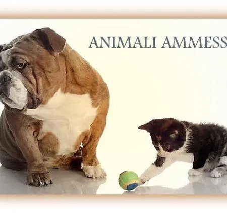 Beau Sejour Etroubles